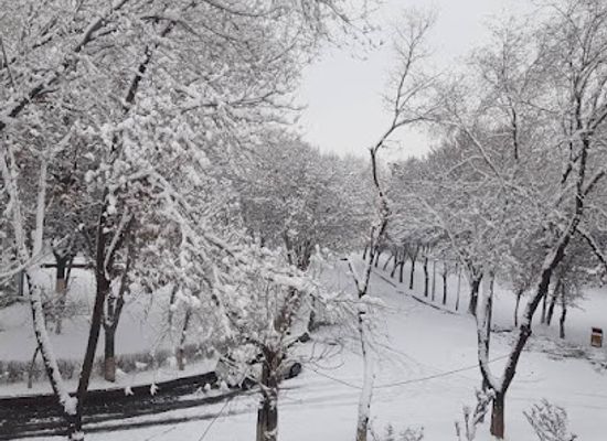 afghanistan/kabul/landmark/zarnegar-park