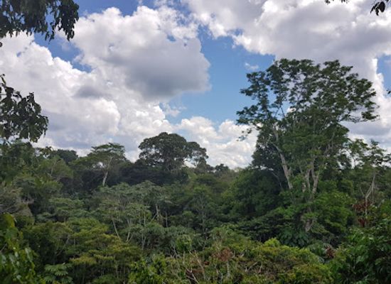 colombia/leticia/landmark/reserva-natural-omagua