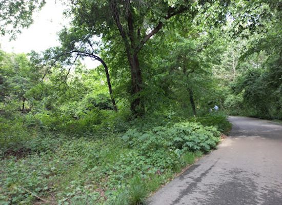 uzbekistan/tashkent-region/landmark/tashkent-botanical-garden