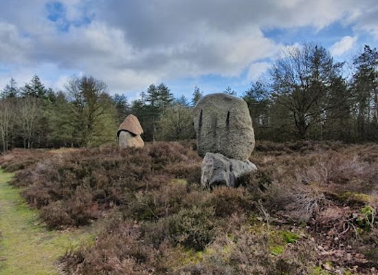 netherlands/drenthe/landmark/sleenerzand