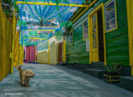 curacao/piscadera/landmark/artwork-over-the-alley