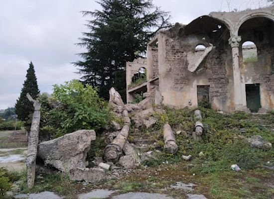 georgia/shida-kartli/landmark/former-pioneer-palace