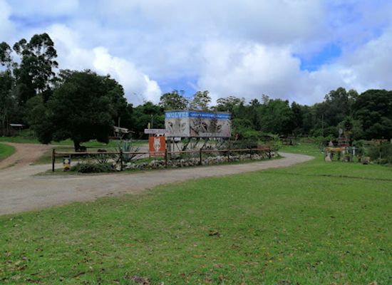 south-africa/garden-route/landmark/garden-route-wolf-sanctuary