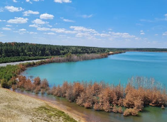 germany/lusatia/landmark/rostiger-nagel-landmarke-lausitzer-seenland