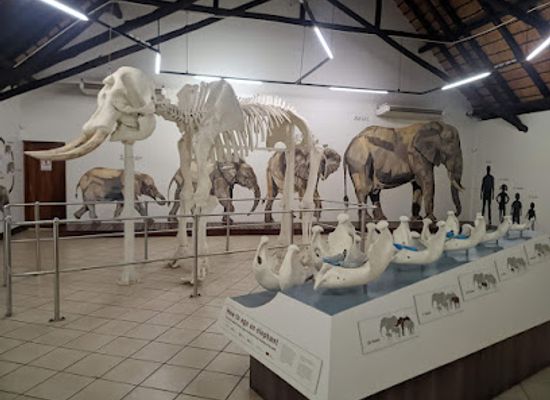 south-africa/lowveld/landmark/elephant-hall-letaba-rest-camp