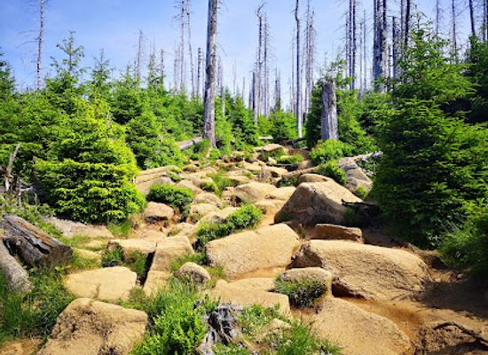 germany/harz/landmark/eckerlochstieg
