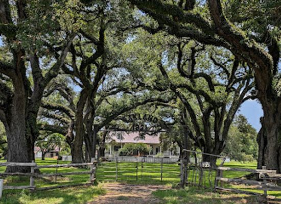 louisiana/river-parishes/landmark/oakland-plantation