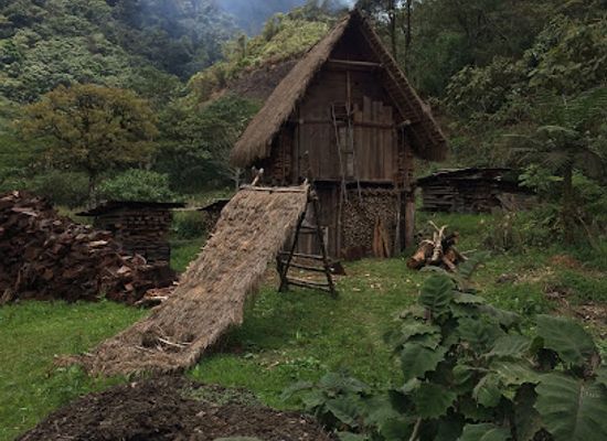 guatemala/central-highlands/landmark/reserva-chelemha
