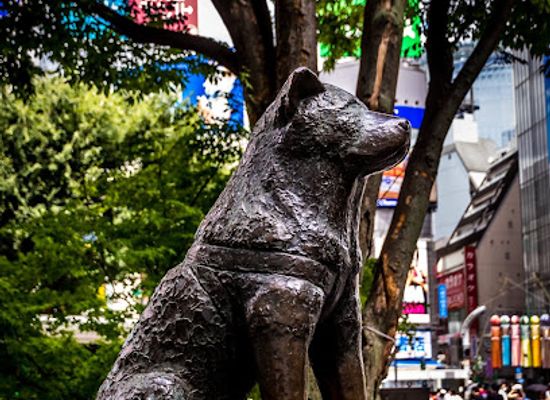 japan/tokyo/shibuya/landmark/hachiko-memorial-statue