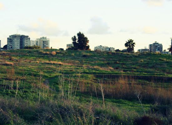 israel/galilee-region/landmark/tel-grisa-napoleon-hill