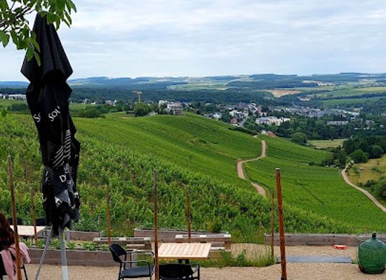 luxembourg/remich/landmark/domaine-goldbierg-benoit-claude