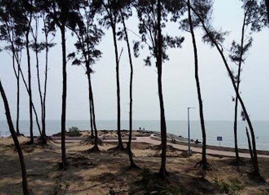 india/digha/landmark/digha-cashew-garden