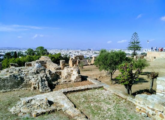 tunisia/the-cap-bon-peninsula/landmark/quartier-punique-de-byrsa