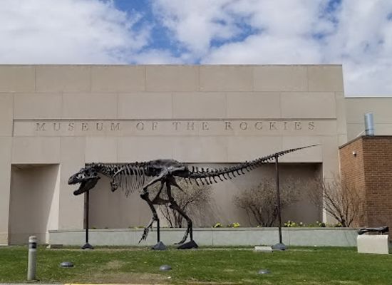 montana/bozeman/landmark/museum-of-the-rockies