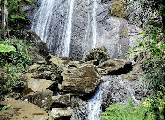 puerto-rico/el-yunque-national-forest/landmark/catarata-coca