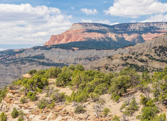 utah/escalante/landmark/escalante-outfitters
