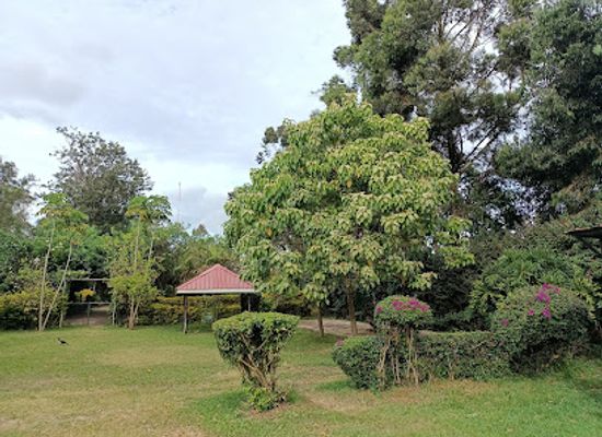 kenya/nairobi/karen/landmark/natare-gardens