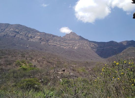 peru/chiclayo-region/landmark/reserva-ecologica-chaparri