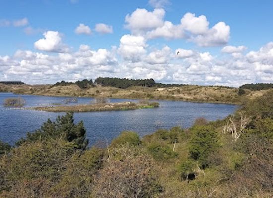 netherlands/kennemerland/landmark/zuid-kennemerland-national-park