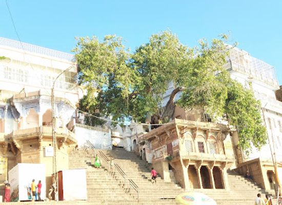 india/varanasi/assi-ghat/landmark/tulsi-ghat