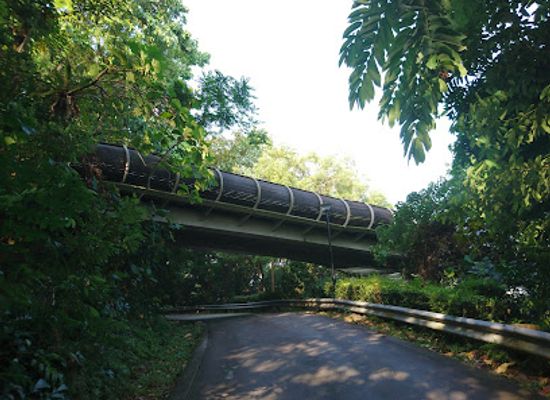 singapore/southern-ridges/landmark/therapeutic-garden