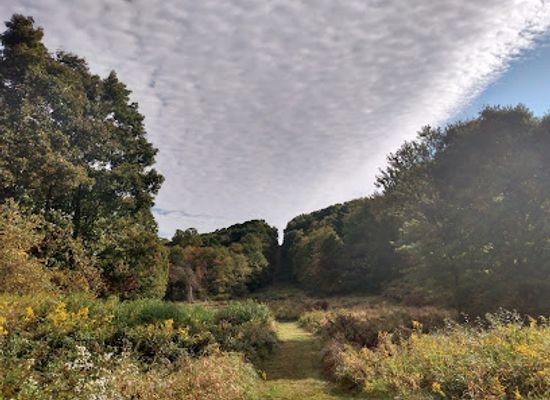 connecticut/naugatuck-valley/landmark/gunntown-passive-park-and-nature-preserve
