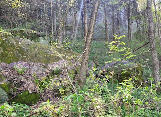 tennessee/appalachian-mountains/landmark/bon-air-mountain-historical-society