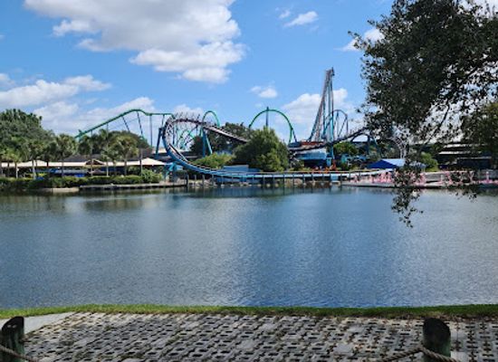 florida/tampa/seminole-heights/landmark/busch-gardens-tampa-bay-howl-o-scream