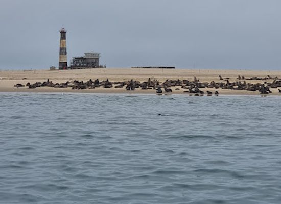 namibia/walvis-bay/landmark/catamaran-charters-booking-and-check-in-office