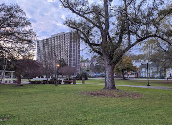 south-carolina/sandhills/landmark/maxcy-gregg-park