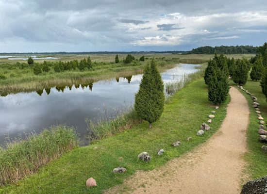 latvia/teici-nature-reserve/landmark/birdwatching-tower-of-riekstusala