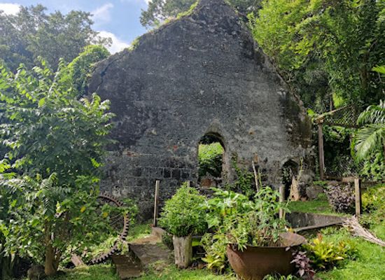 grenada/annandale-falls/landmark/belmont-estate