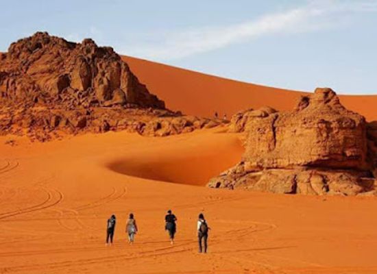 morocco/sahara-desert/landmark/jardin-majorelle