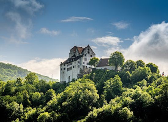 switzerland/aargau/landmark/schloss-wildegg