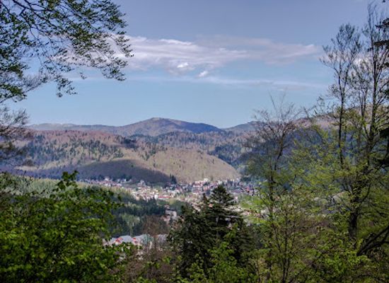 romania/prahova-valley/landmark/cascada-urlatoarea-busteni