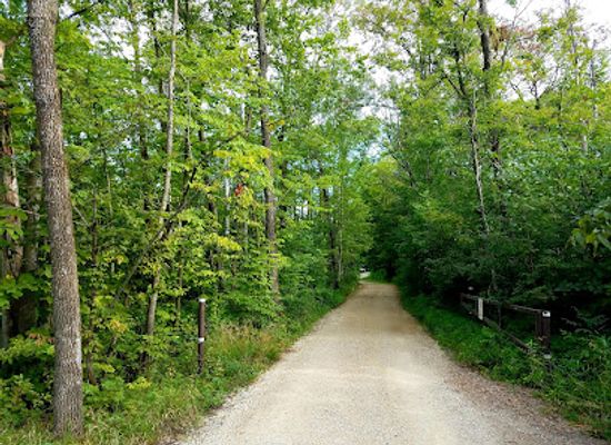 minnesota/big-woods/landmark/nerstrand-big-woods-state-park