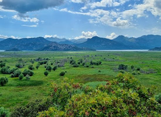 montenegro/lake-skadar/landmark/monastery-kom