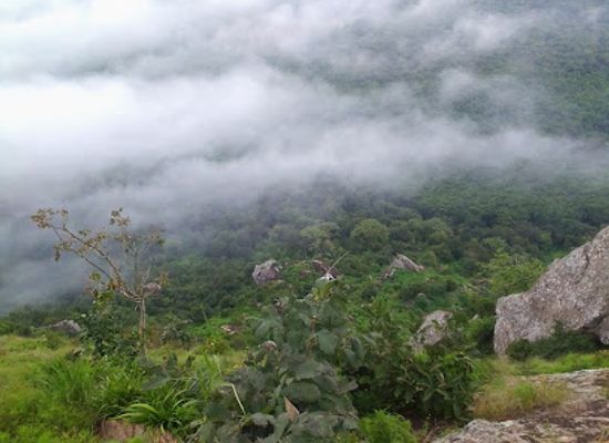 malawi/mulanje-mountain/landmark/bunda-mountain