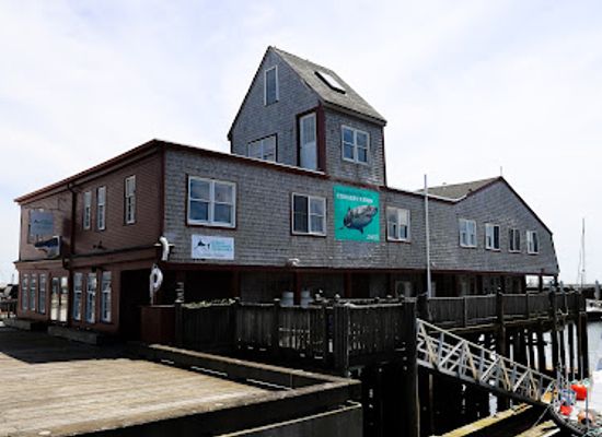 massachusetts/provincetown/landmark/awsc-shark-center-provincetown