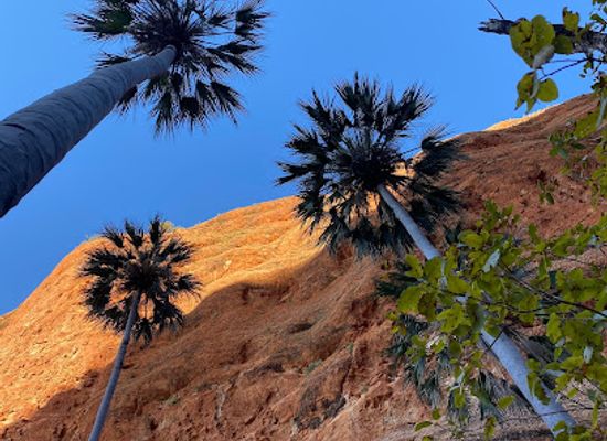 australia/bungle-bungle-range/landmark/mini-palms-gorge