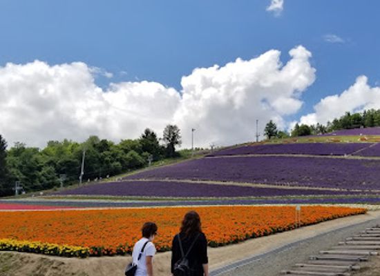 japan/hokkaido/landmark/nakafurano-flower-park