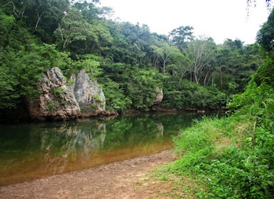 belize/mountain-pine-ridge/landmark/macal-river
