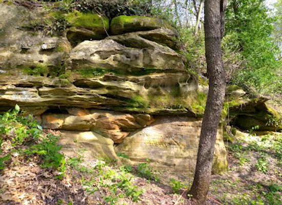 wisconsin/ice-age-trail/landmark/ice-age-trail-montrose-segment