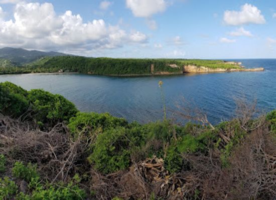 grenada/saint-david/landmark/la-sagesse-bay