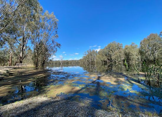 australia/murray-region/landmark/wonga-wetlands