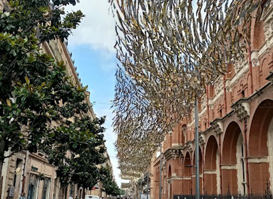 france/toulouse/landmark/rue-alsace-lorraine