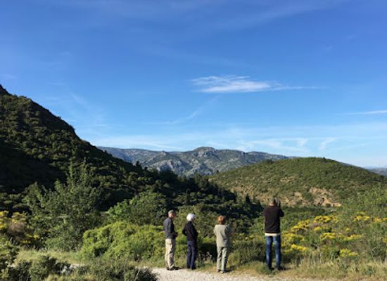 france/languedoc/landmark/birding-languedoc