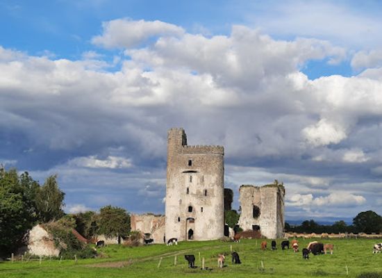 ireland/county-laois/landmark/ballyadams-castle