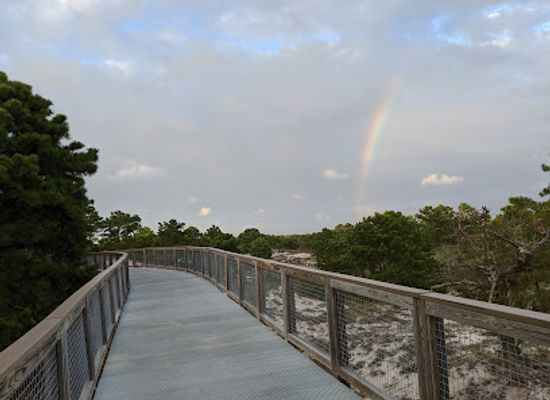 delaware/the-lewes-and-rehoboth-canal-area/landmark/gordons-pond-trail