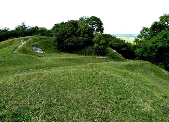 united-kingdom/wiltshire/attraction/bincknoll-castle-2